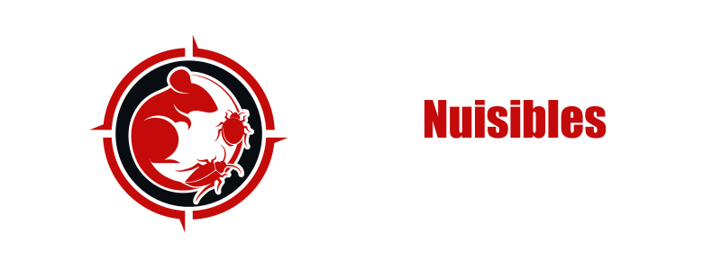 DératiNuisibles – experts en lutte contre les nuisibles à Paris et en Île-de-France